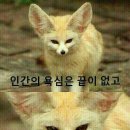 애드젯
