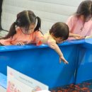 나봄2농장 | 용인가볼만한곳 실내 아이와 헤븐온어스 물놀이 후기