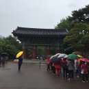 TEMPLE 이미지