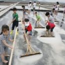 증도농장 이미지