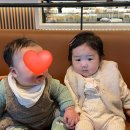 예쁜둥지어린이집 | 25년 1월 일상
