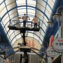 고령대가야시장 이미지