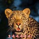 (주)인트라게임즈 이미지