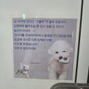 우남약국 | 성남 위례 속눈썹펌 잘하는곳 편안하고 꼼꼼한 아이클라우드