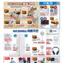 대전전단