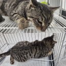 인동43길-6 이미지