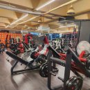 포텐 휘트니스 남동구청점 | 만수동 헬스장, 최고의 시설을 자랑하는 포텐휘트니스 남동구청점