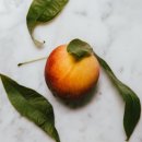 전주비타민의원 이미지