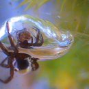 산소록천 이미지