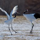 남북농장 이미지