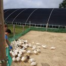 백번농장 이미지