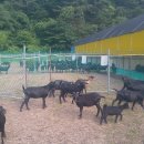 바다농장 이미지