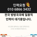 가자인력부산 이미지