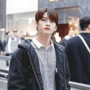 리노 이미지