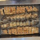 힘센 민물장어 이미지