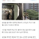 마산-내서-내서센터-01 이미지