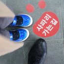 사파리체험테마파크 이미지