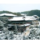 대순진리회 이미지