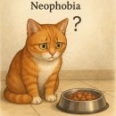 pet25누5159 | 일] 멍냥연수원 오프라인 세미나 고양이 부문을 못가신 분들을 위한 참가 후기 (강의 내용 정리 포함)