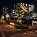 나성동 BRT앞 이미지