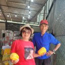 금사농장 이미지