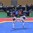 세계태권도 이미지