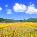 청마기념관 이미지