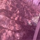 논산시재활용센터 | [금산여행] 자연휴양림 금산산림문화타운 솔직 이용 후기 -산벚나무방