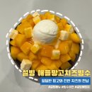 설빙상록수역점 | 설빙 안산상록수역점 애플망고치즈빙수 가격, 칼로리 내돈내산 후기
