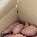 상궁농장 이미지