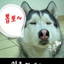 미소 이미지