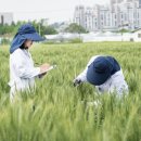 들녘 - 강서구 공항대로 38-14 | 들녘