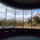 제미바릇 이미지