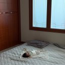 뽕장군 | 26년4월 :: 2개월 아기 일상 / 장군이 이름은?