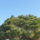 [소상공인 국비지원][6/1] 스마트 스토어 매출향상 실전(기본) | 자영업,소공인 제품 판매촉진/제품,기술 가치향상/소공인 불공정 센타 운영