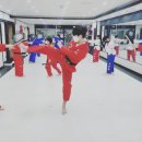 KLT 실전태권도장 이미지