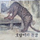 호랑이와곶감그림책도서관 이미지