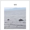 ＜중랑신문- 수요디카시광장＞ 성장/박경희 이미지