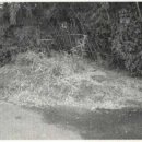 초전 마을회관 이미지