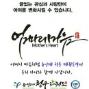 용인대새봄태권도 이미지