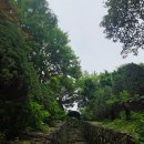 경남 고성 가볼 만한 곳(상리 연꽃공원, 수국과 메타스퀘이아 나무가 인상적이었던 그레이스정원 후기)