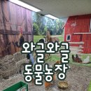 광주북초교병설유치원 | 광주 동구 지산동 초등학교 병설유치원 찾아오는 농장 체험학습 "와글와글 동물농장"