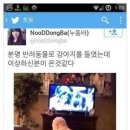 바야바야 Daum카페