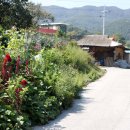 극락경로당 이미지