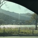 홍연카써비스 | 2403 개복치의 삶월