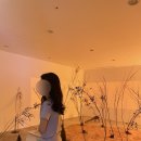 이로신세계파주