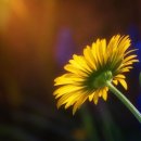 좋은세상 이미지