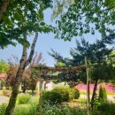 카페1992 이미지