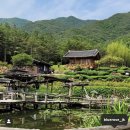 무릉도원 이미지