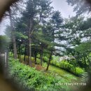 하루하루,...2026.07.01 ~ 07.31 이미지